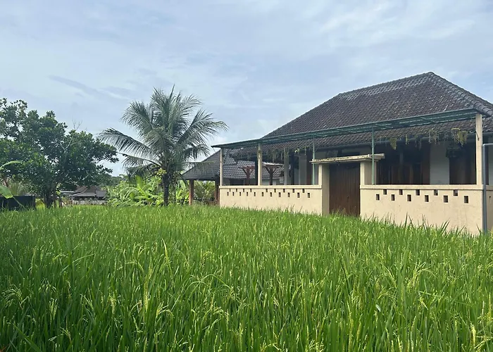 Ketut's Place Penestanan
