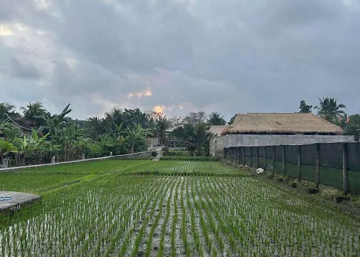 Ketut's Place Penestanan Apartment Ubud (Bali)